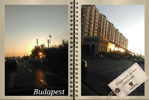 ��������  �ξ���������