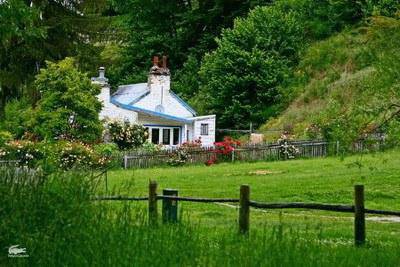 ̽��ȥ�(��������