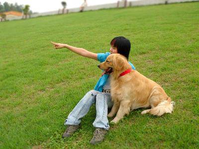 ̽��ȥ�(��������