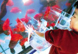 ����ѧСʵ�顿������Ȥζ��ס�����