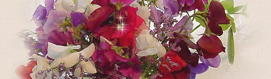 �Ҹ�����ɫ����Է���ģ�����