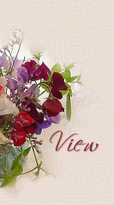 �Ҹ�����ɫ����Է���ģ�����