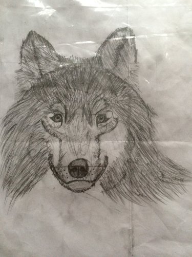 ��Ů������Ϳѻ����