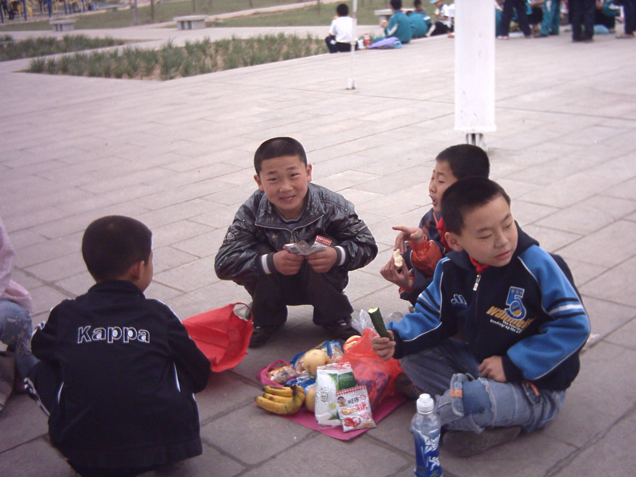 Ϊ��פ������