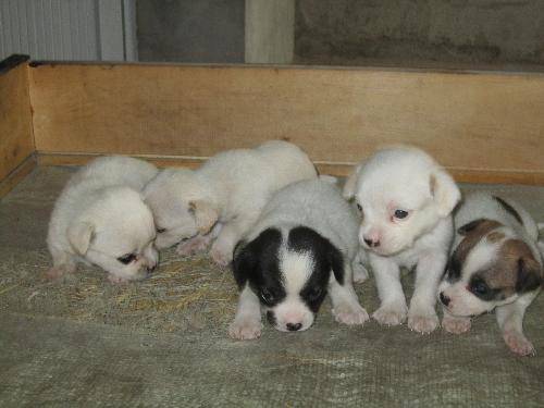 ���ֶ�ȥ���������޸ĺ�����