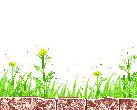 �������������