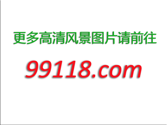 ������˵��������