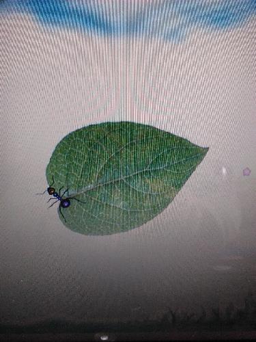 ����ġ��ܳ�������