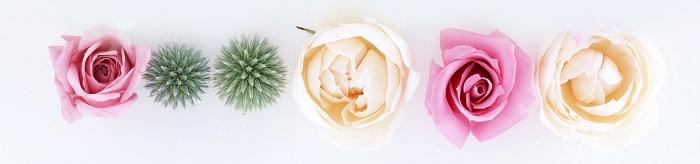 ����Ͷ�֣���ĥ��桾�ӡ�ǧ���ġ����������ѵ���������