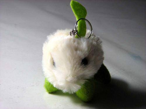 �����ռǣ�����----�������������