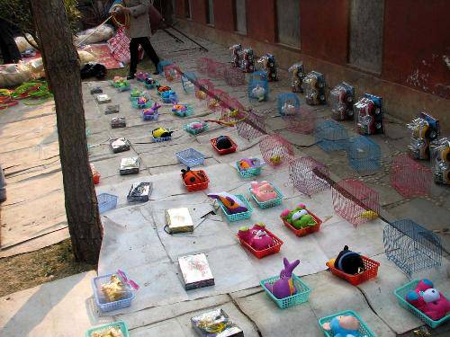 �����ռǣ�����----�������������