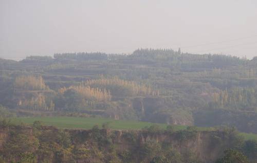 ��Ұ�ջ�����