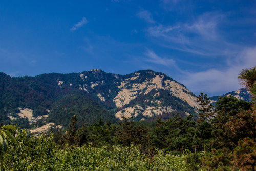 ���׳��졤�����ɹ����㻳������