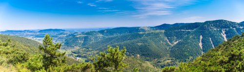 ���׳��졤�����ɹ����㻳������