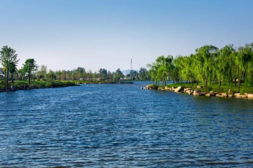 ���׳��졤�����ɹ����㻳������