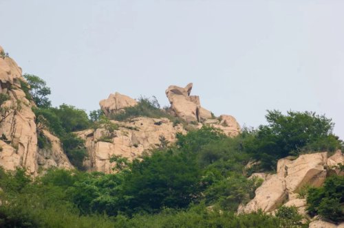 ���׳��졤�����ɹ����㻳������