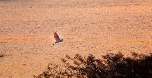 ���׳��졤�����ɹ����㻳������