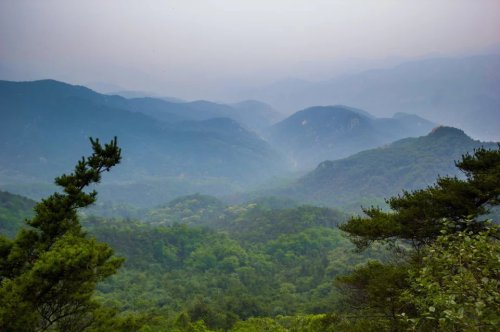 ���׳��졤�����ɹ����㻳������