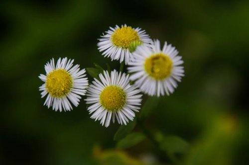 ���׳��졤�����ɹ����㻳������