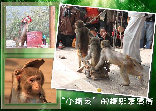 ��̨⨺��������ܽӴ�����