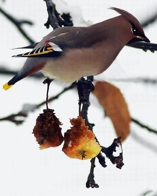 �ҿ��֣��ҳɳ�����