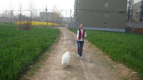 ���ϴ�����Ӱ��ʫ������֮��������������