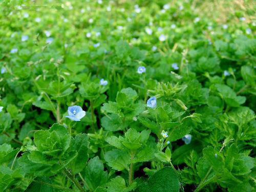 ���ϴ�����Ӱ��ʫ������֮��������������