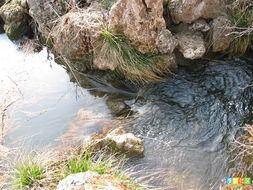 ���ϴ�����Ӱ��ʫ������֮��������������