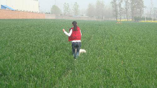 ���ϴ�����Ӱ��ʫ������֮��������������