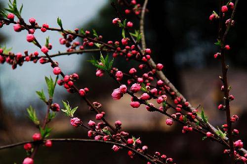 ���ϴ�����Ӱ��ʫ������֮��������������