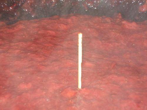 ����ݮ�������