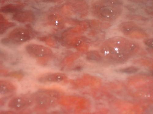 ����ݮ�������