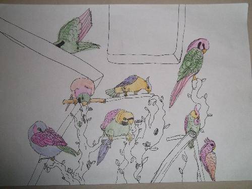 ��ѵĸ���������