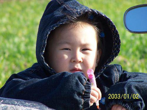 ��ѵĸ���������