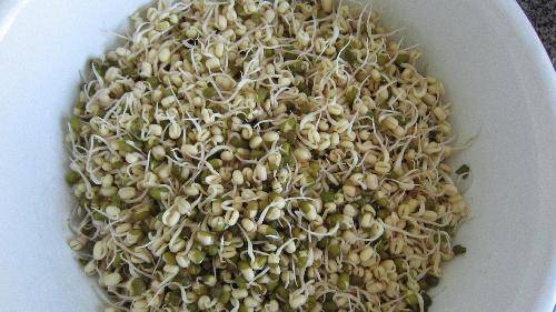 ���ҡ��������ռ�����