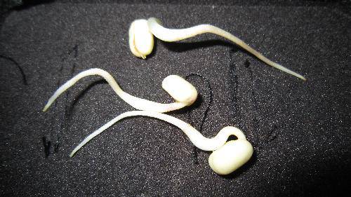 ���ҡ��������ռ�����