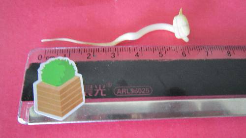 ���ҡ��������ռ�����