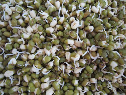 ���ҡ��������ռ�����