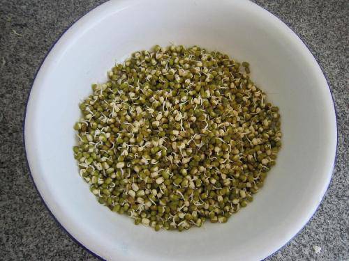 ���ҡ��������ռ�����