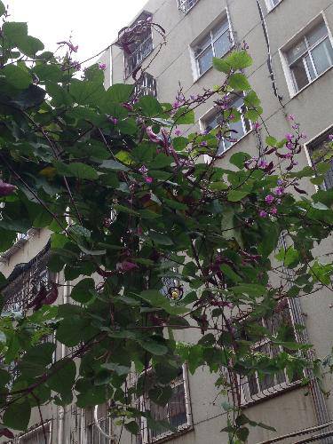 �۲��ռǣ�ʮ������