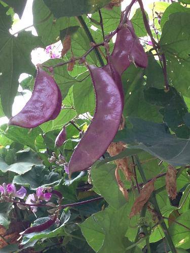 �۲��ռǣ�ʮ������