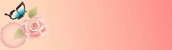 ����ϰ��  ������������