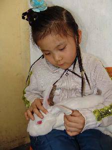 �ɰ���С������