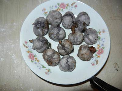 ��ԲҲ��������������