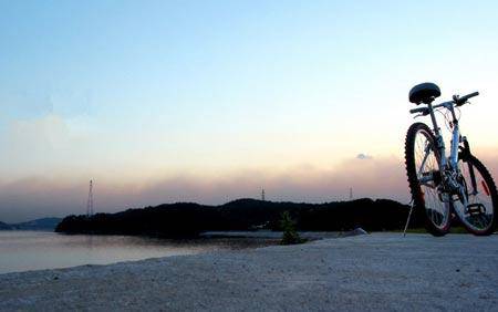 �����Ķ�---������ʧ��ʢ������