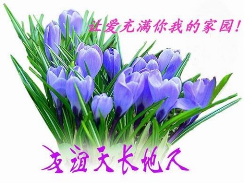 ��һ�ָ���иж�����