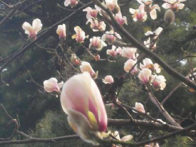 ��Ӱ�ռ�:Ѱ�Ҵ�������