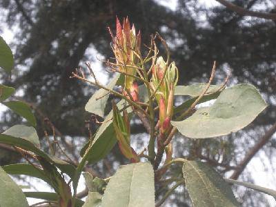 ��Ӱ�ռ�:Ѱ�Ҵ�������