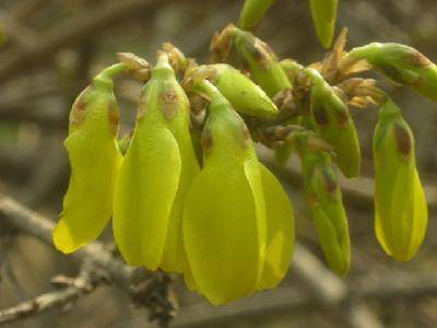 ��Ӱ�ռ�:Ѱ�Ҵ�������