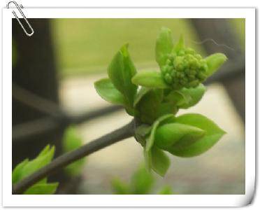 ��Ӱ�ռ�:Ѱ�Ҵ�������